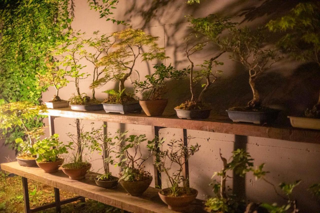 Il Giardino Segreto Leilighet Carbognano Eksteriør bilde