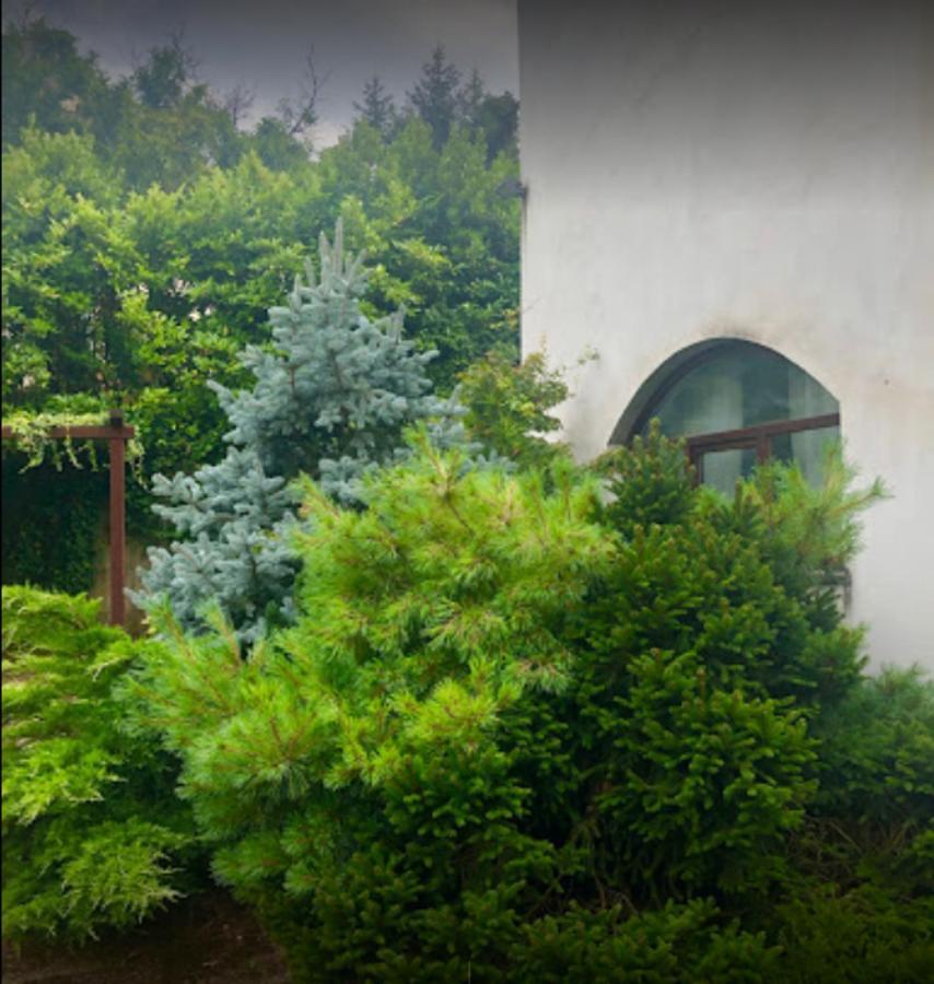 Il Giardino Segreto Leilighet Carbognano Eksteriør bilde